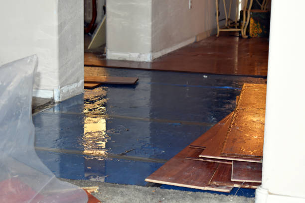 Professional Burst Pipe Cleanup technician working in Cohasset, MA
