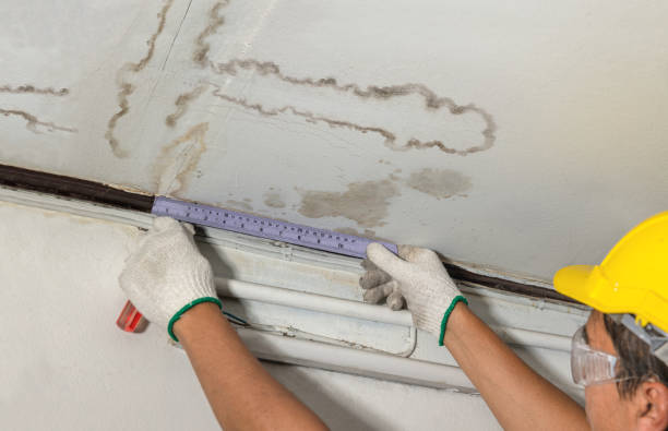 Reliable Burst Pipe Cleanup contractor in Cohasset, MA by Water Damage Irwin